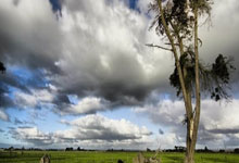 [足球之夜]胡荷韬：国家队首秀之后.