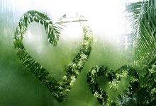 运动组局解锁社交新玩法 夜跑和骑行拥有高人气2025-01-22.