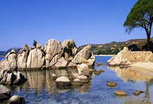 广东比北京赚2场!手术后“一只眼”也带娃,大魔王真无心恋战?.